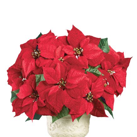 Poinsettia Velvet Bushes, Set of 3-380585