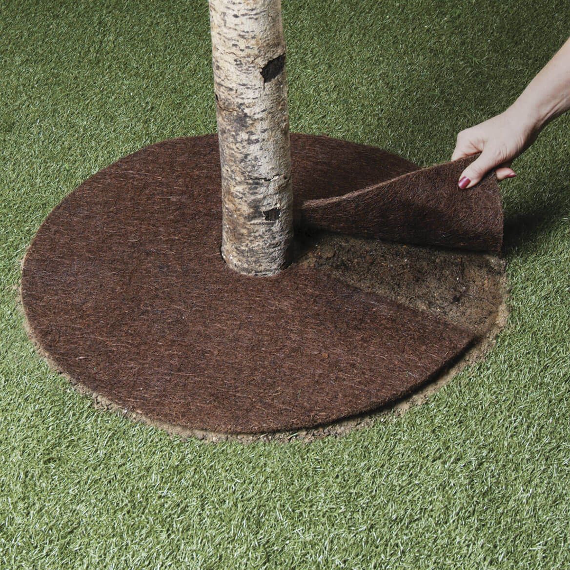 24 Inch Coco Fiber Tree Ring