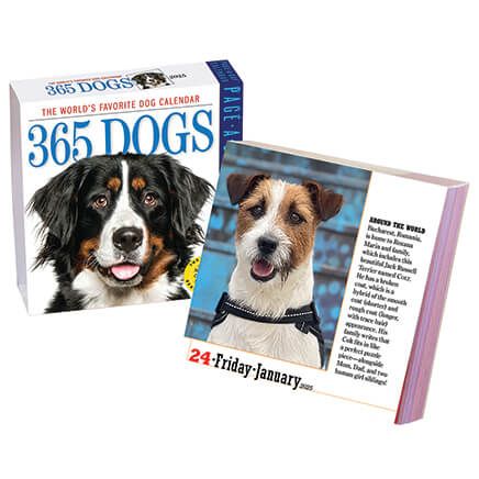Dog Or Cat Page A Day Calendar-310671