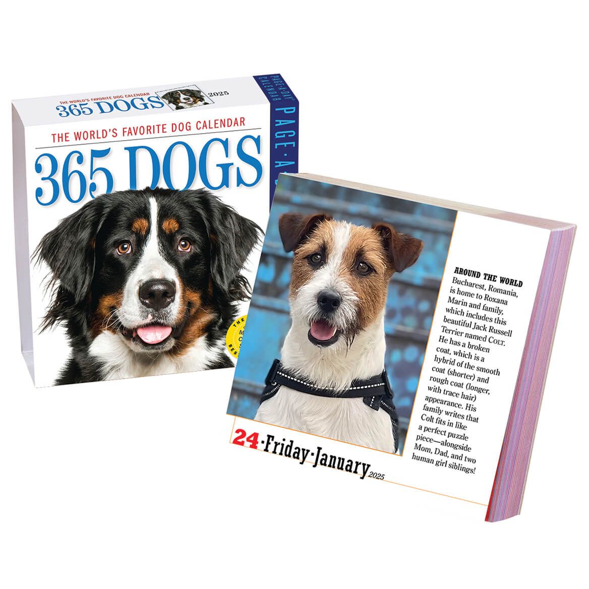 Dog Or Cat Page A Day Calendar + '-' + 310671