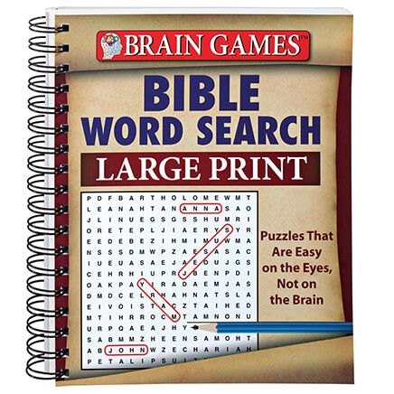 Large Print Bible Word Search-342926