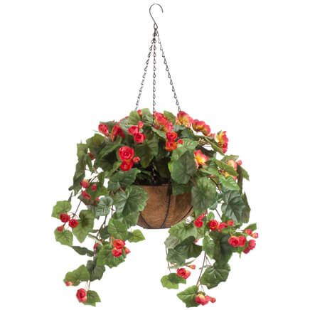 Fully Assembled Begonia Hanging Basket by OakRidge™-355016