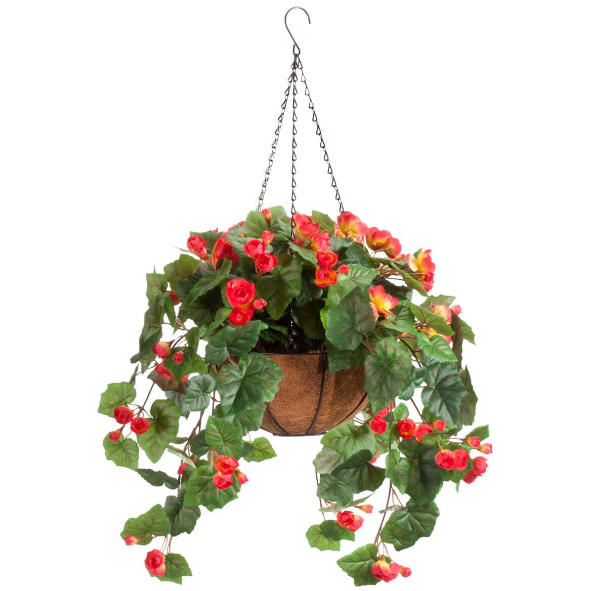 Fully Assembled Begonia Hanging Basket by OakRidge™ + '-' + 355016