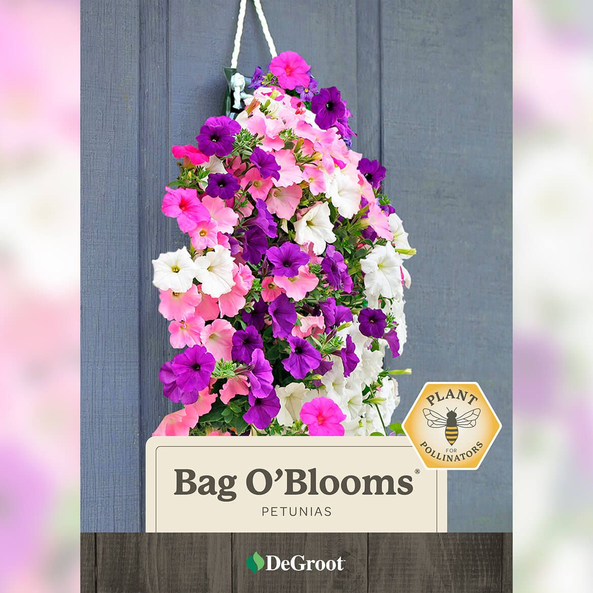 Bag O'Blooms® Petunias + '-' + 362063
