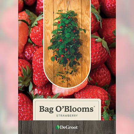Bag O'Blooms® Strawberry-362193