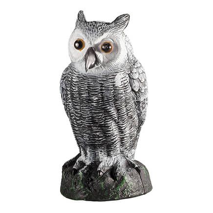 Sensor Owl-366326