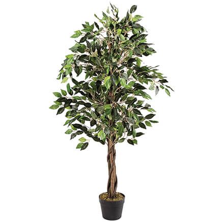 Artificial Ficus Tree by OakRidge™     XL-368768