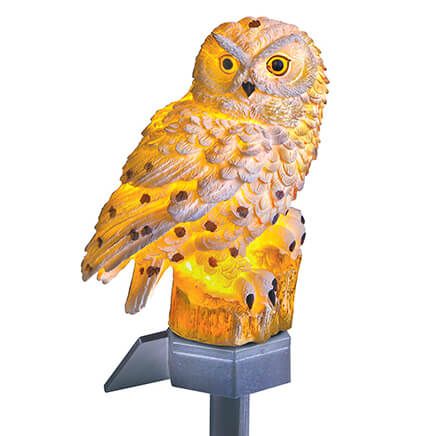 Solar White Owl Light-370086