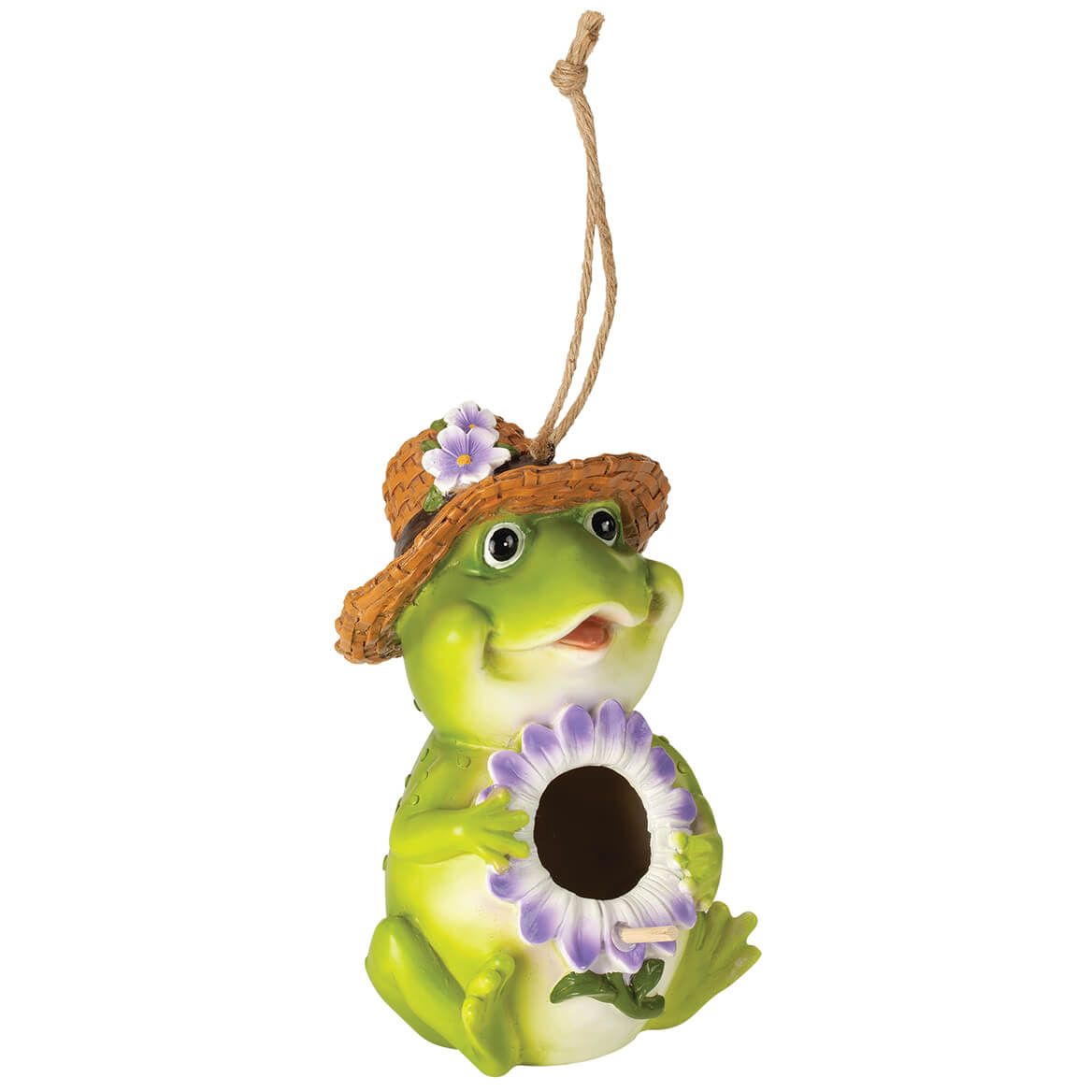 Resin Frog Birdhouse by Fox River™ Creations + '-' + 372552