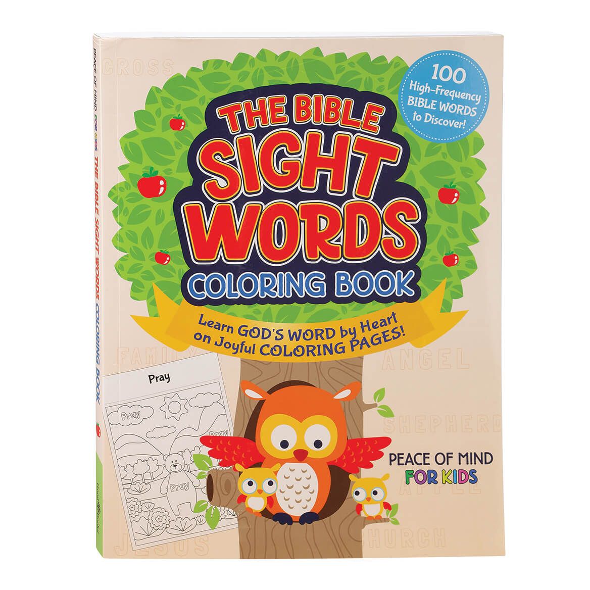 The Bible Sight Words Coloring Book + '-' + 373871