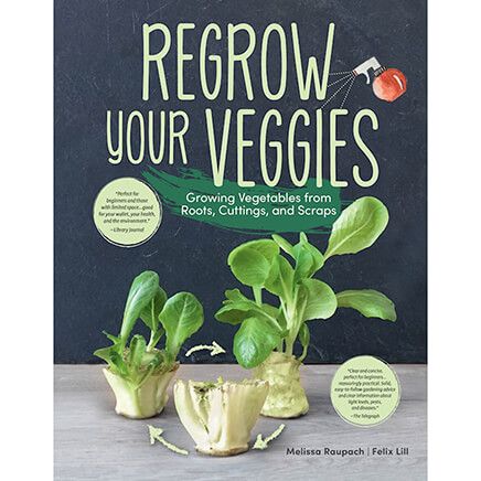 Regrow Your Veggies-375780