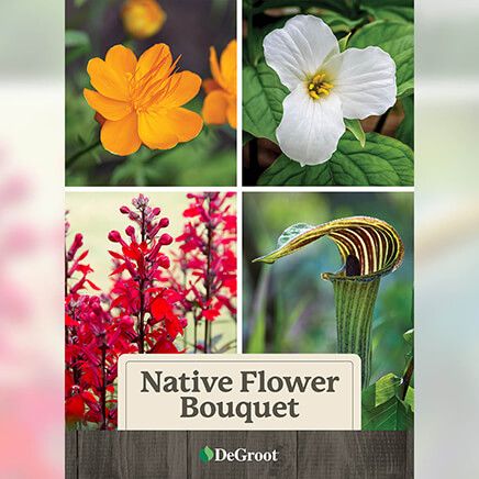 Native Flower Bouquet-376459