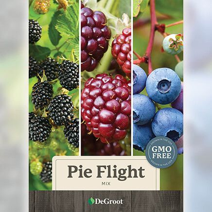 Pie Flight Mix-376460