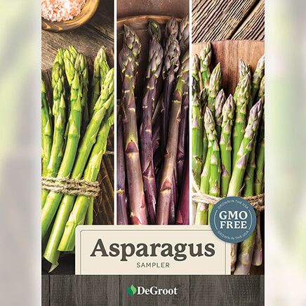 Asparagus Sampler-376461