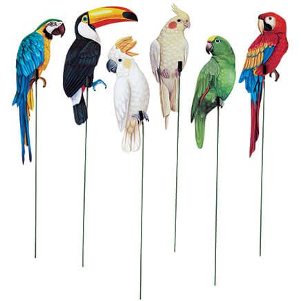 Tropical Bird Stakes, Set of 6 by Fox River™ Creations-376901