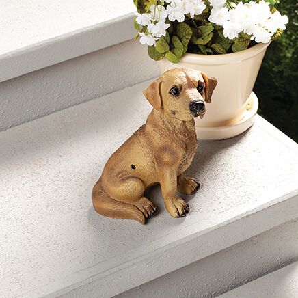 Motion Sensor Barking Cat - Outdoor Decor - Miles Kimball