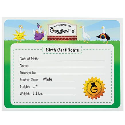 Gaggleville™ Baby Goose Birth Certificate-378170