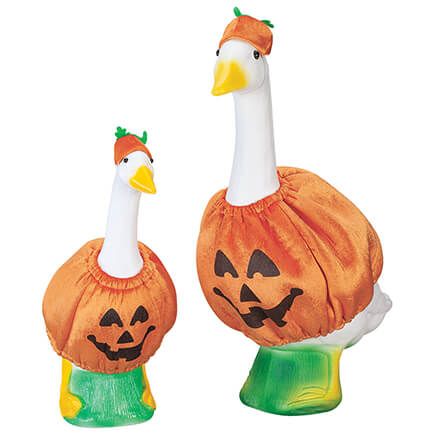 Pumpkin Duo Goose, Baby and Outfits Bundle by Gaggleville™-378174