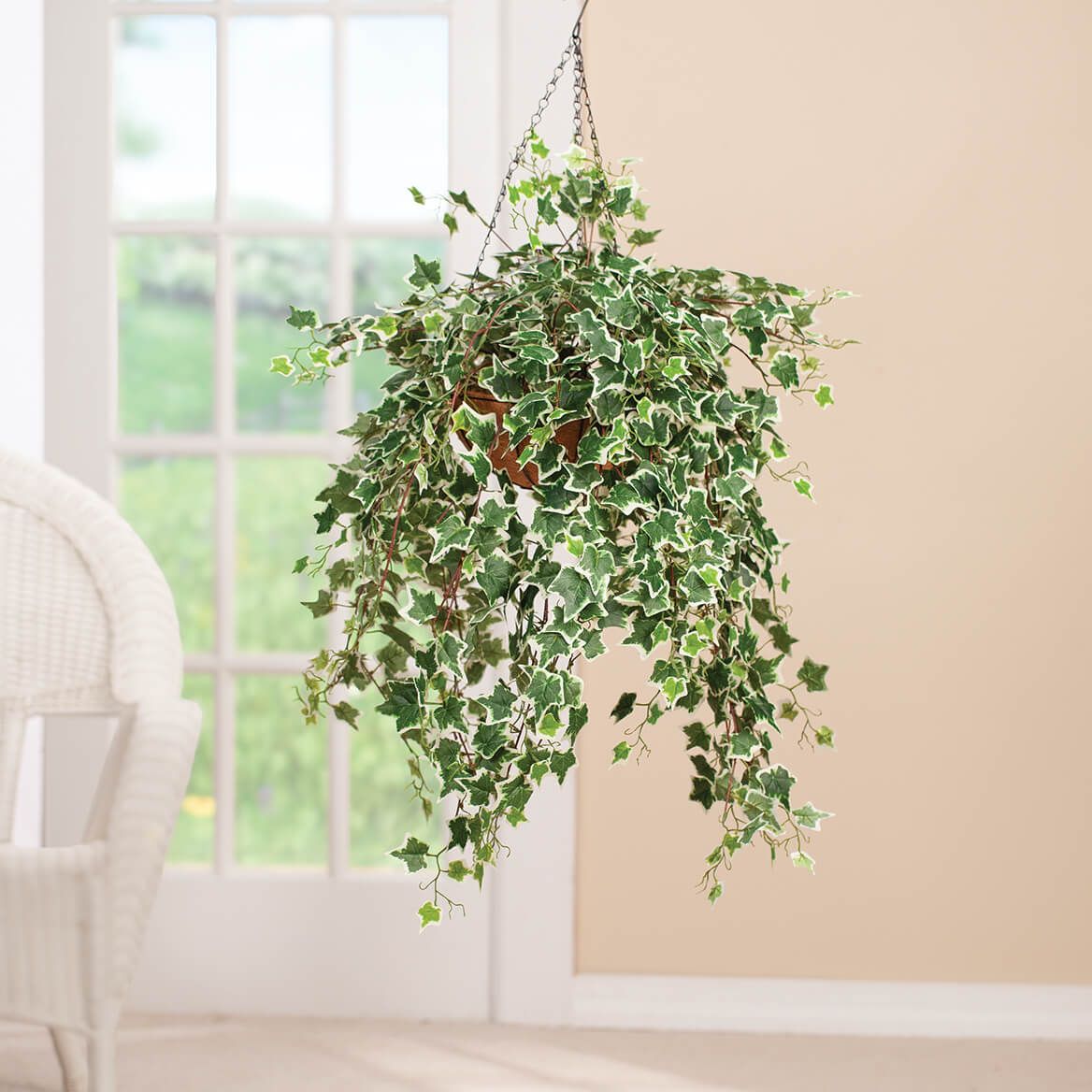 Fully Assembled Ivy Hanging Basket by OakRidge™ + '-' + 378766