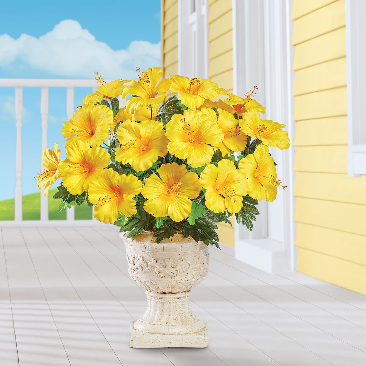 Hibiscus Bushes, Set of 3