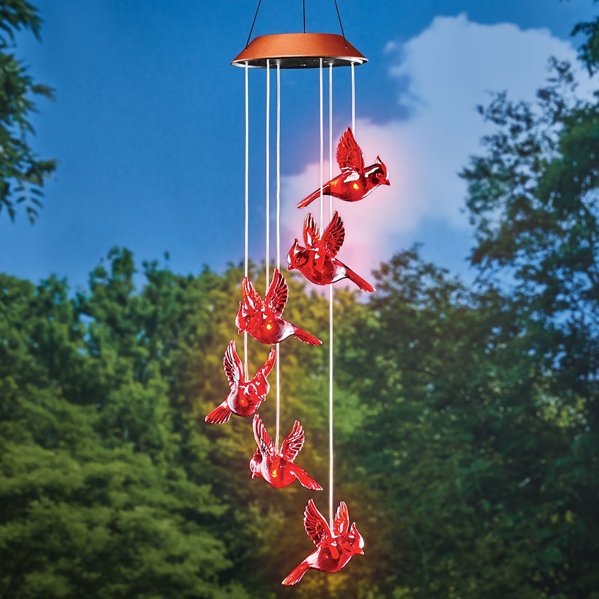 Solar Cardinal Dangler