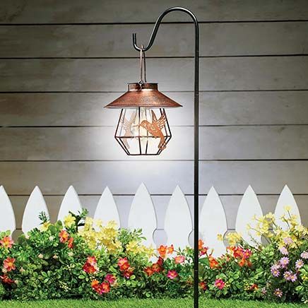 View product details for Solar Hummingbird Light With Hook