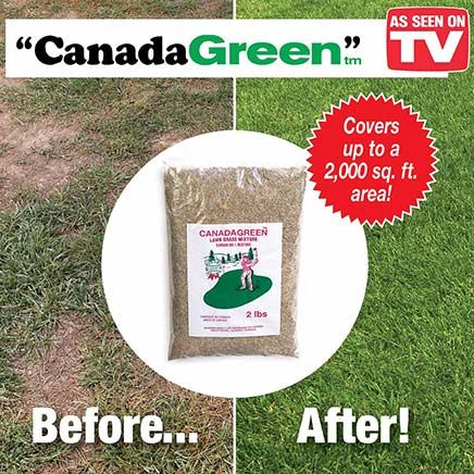 Canada Green Grass 4 lbs.-379851