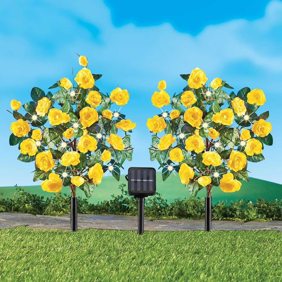 Solar Rose Stakes, Set of 2