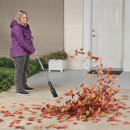 Vortex Cordless Insect Trap - Bug Trap - Miles Kimball
