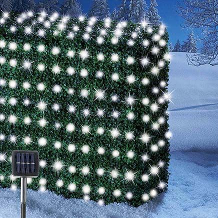 View product details for Solar LED Net Lights