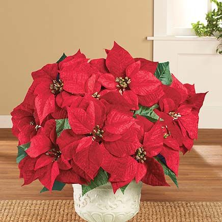 Poinsettia Velvet Bushes, Set of 3-380585