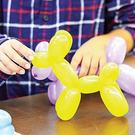View product details for Make Your Own Balloon Animals Kit