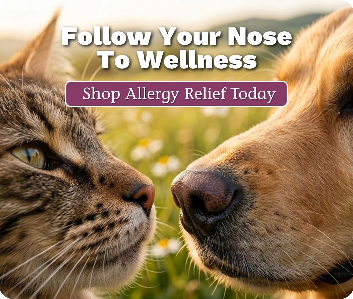 PA HP_ImageLink^mhp-allergy-sinus