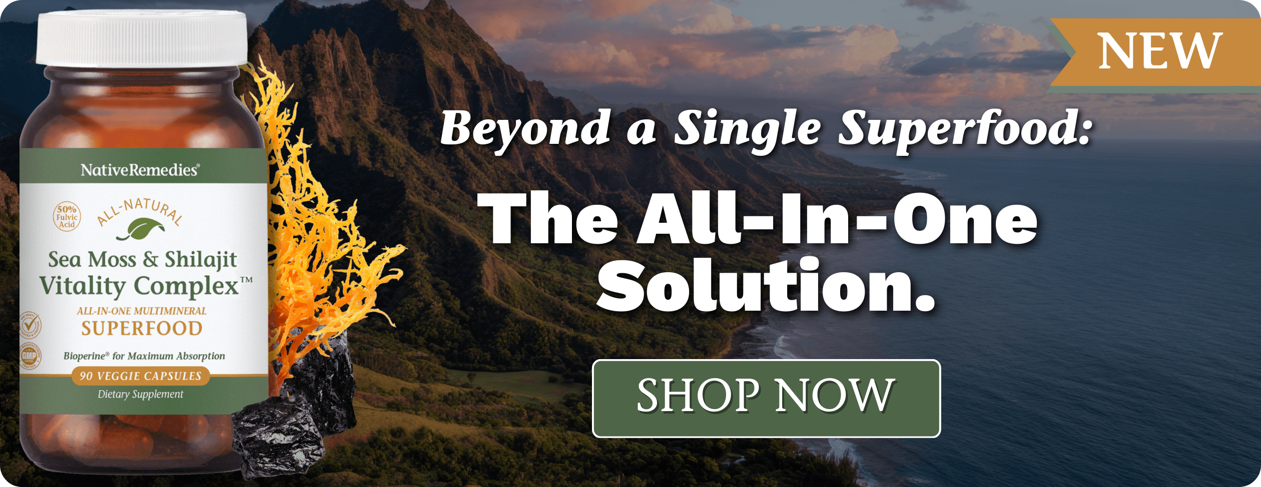 NR HP_ImageLink^hp-seamossshilajit