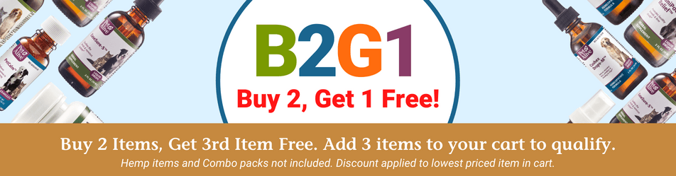 B2G1 (952 × 249 px) (1).png