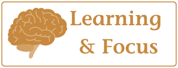 Learning & Focus button