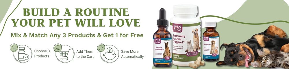 shop all petalive buy 2 get 1 free offer herbal supplements homeopathic medicine for dogs and cats save more stock up