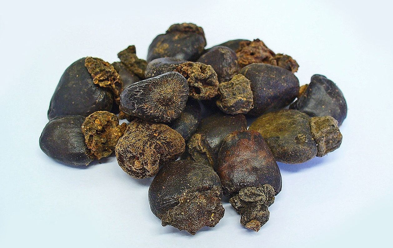 Anacardium Orientale - Native Remedies Anacardium Orientale fruit