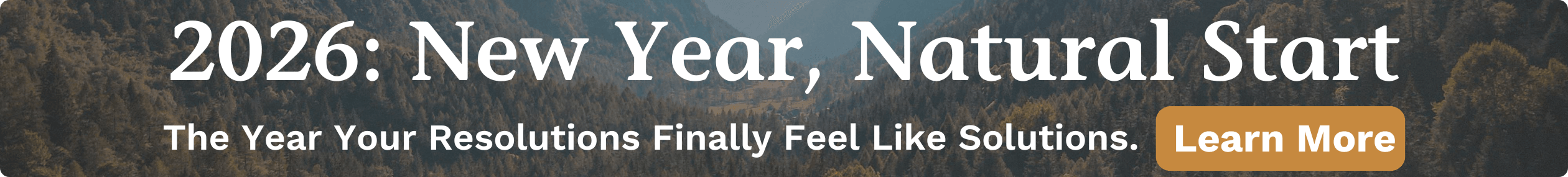 NR_HP-Mod2_NewYearNaturalStart