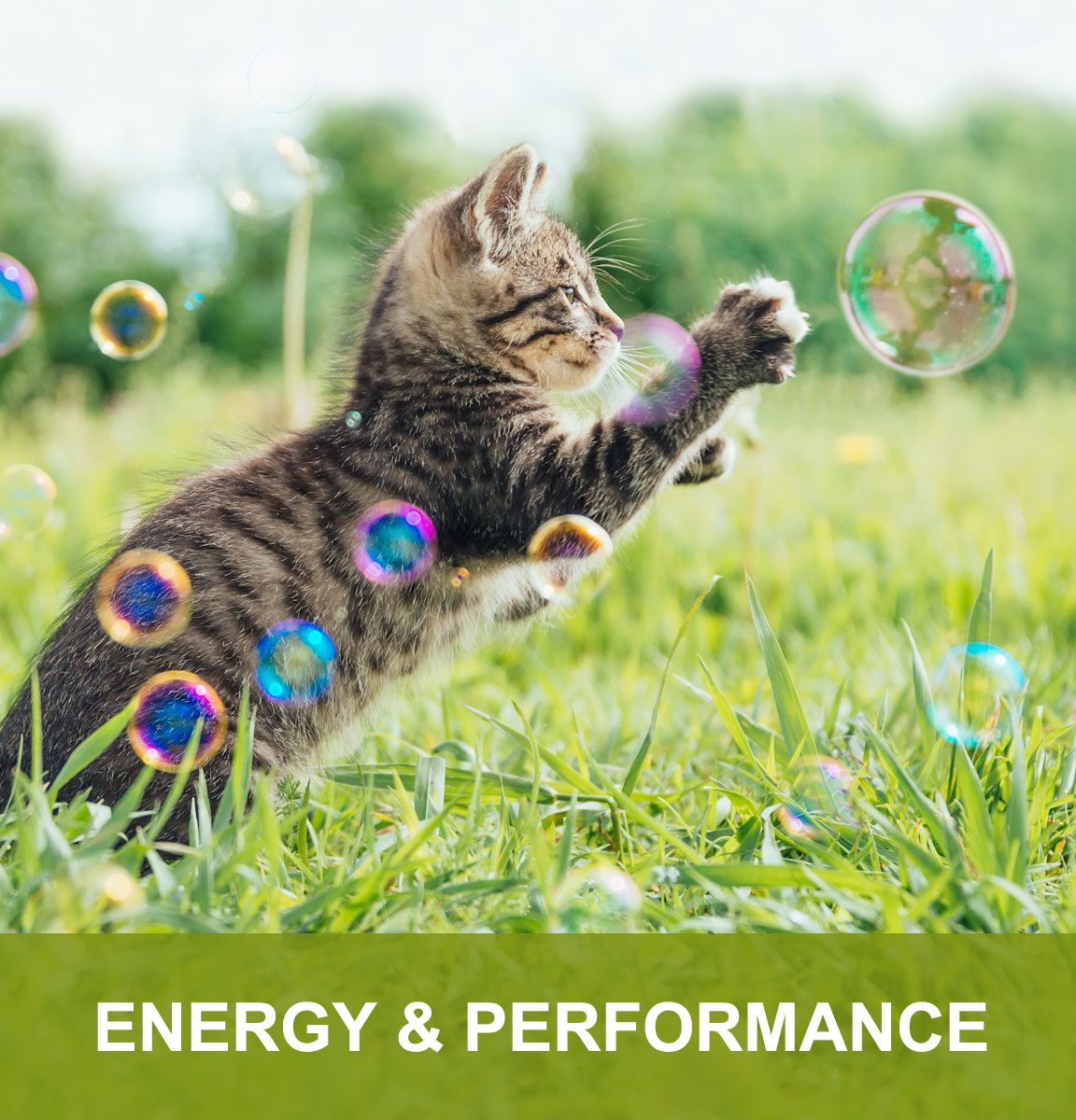 Energy and Performance
