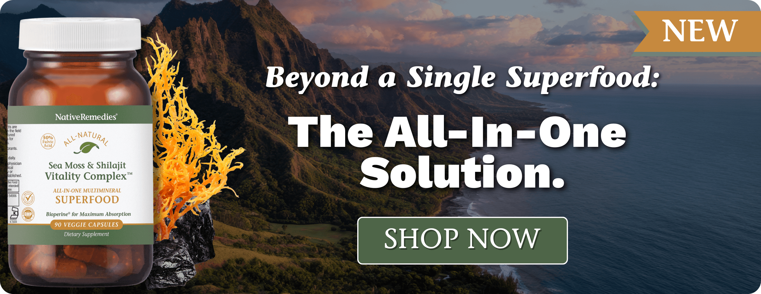 NR HP_ImageLink^hp-seamossshilajit