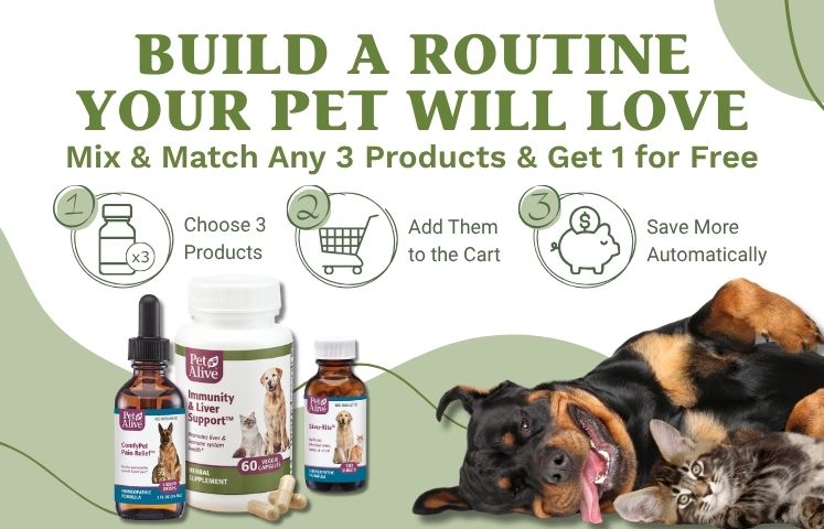 shop all petalive buy 2 get 1 free offer herbal supplements homeopathic medicine for dogs and cats save more stock up