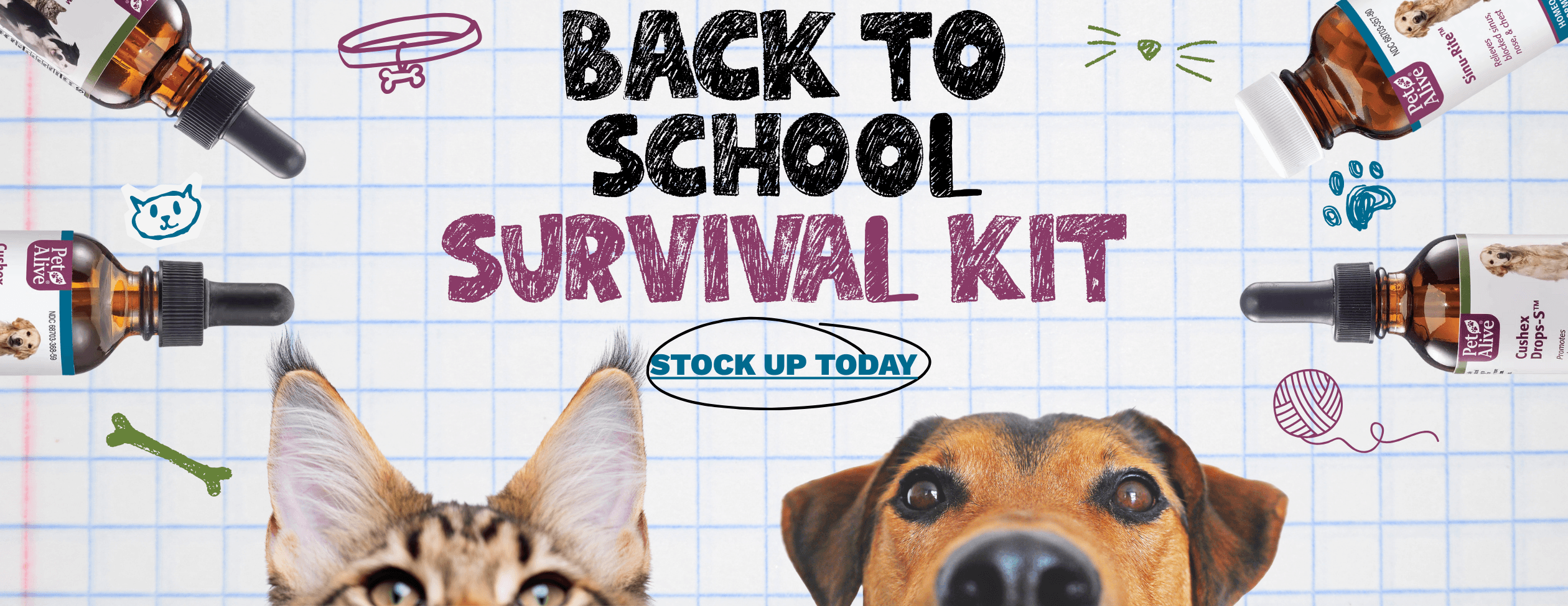 PA HP_ImageLink^hp-backtoschool
