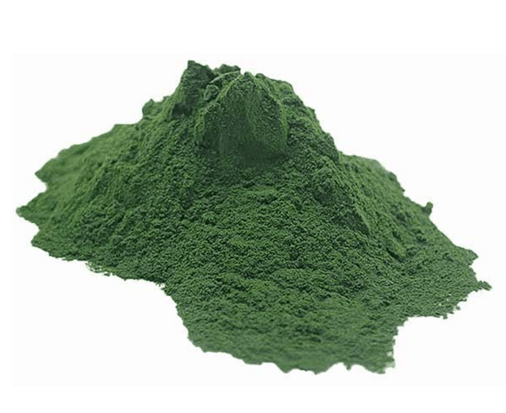 Photo of Spirulina