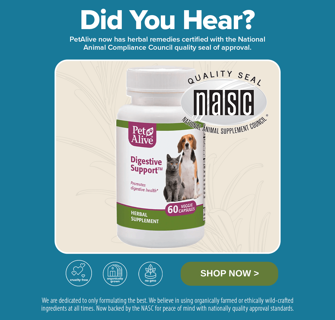 Natural top pet remedies