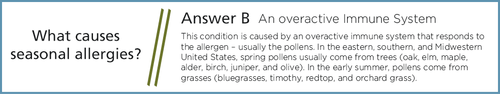 An overactive immune system causes seasonal allergies.