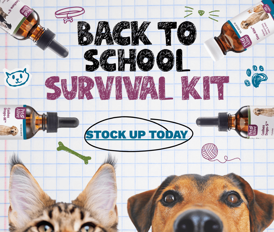 PA HP_ImageLink^mhp-backtoschool