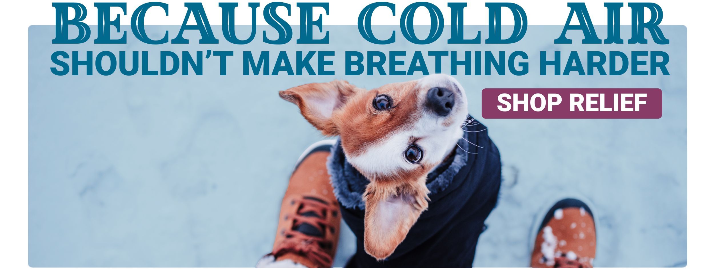 PA HP_ImageLink^hp-respiratory-winter