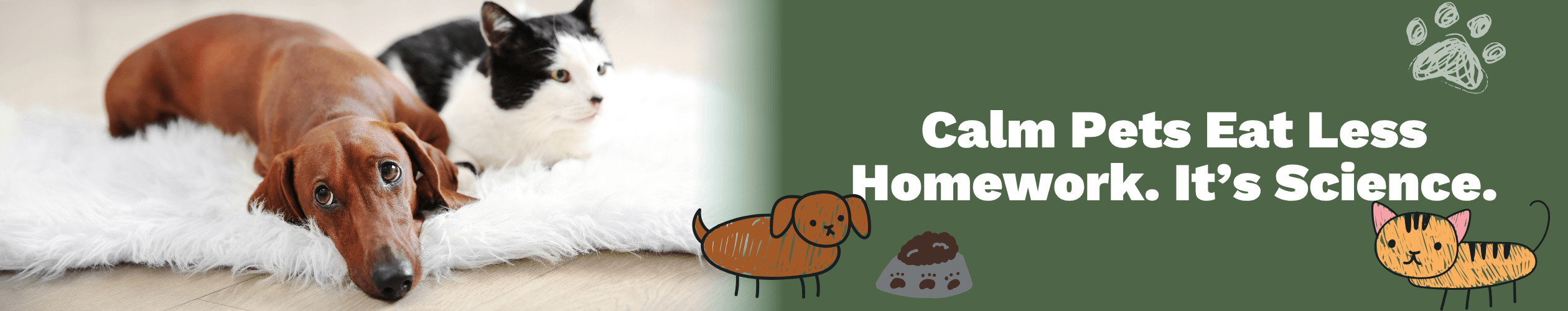 pets stressed dog chewing up couches nervous