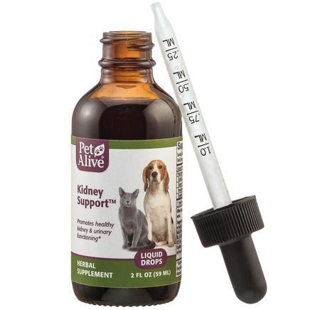 Kidney Support™ for Cat & Dogs-351872